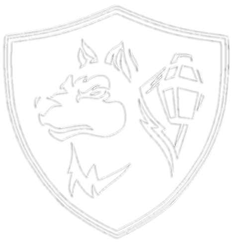 Pattern Logo